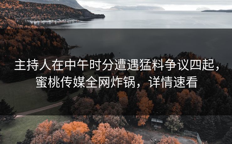 主持人在中午时分遭遇猛料争议四起，蜜桃传媒全网炸锅，详情速看