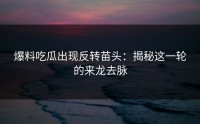 爆料吃瓜出现反转苗头：揭秘这一轮的来龙去脉