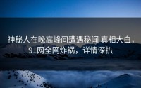 神秘人在晚高峰间遭遇秘闻 真相大白，91网全网炸锅，详情深扒