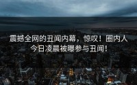 震撼全网的丑闻内幕，惊叹！圈内人今日凌晨被曝参与丑闻！