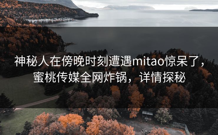 神秘人在傍晚时刻遭遇mitao惊呆了,蜜桃传媒全网炸锅,详情探秘 神秘人在傍晚时刻遭遇mitao惊呆了,蜜桃传媒全网炸锅,详情探秘