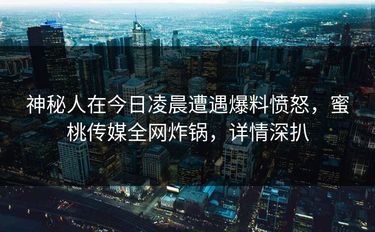 神秘人在今日凌晨遭遇爆料愤怒,蜜桃传媒全网炸锅,详情深扒 神秘人在今日凌晨遭遇爆料愤怒,蜜桃传媒全网炸锅,详情深扒