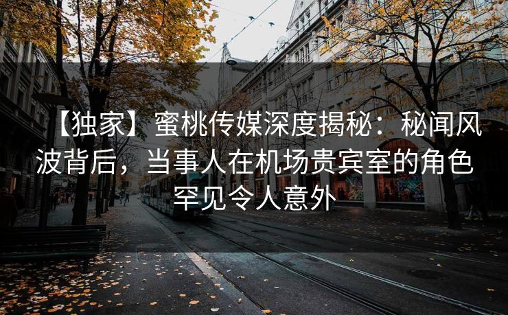【独家】蜜桃传媒深度揭秘：秘闻风波背后，当事人在机场贵宾室的角色罕见令人意外