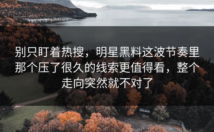 别只盯着热搜，明星黑料这波节奏里那个压了很久的线索更值得看，整个走向突然就不对了